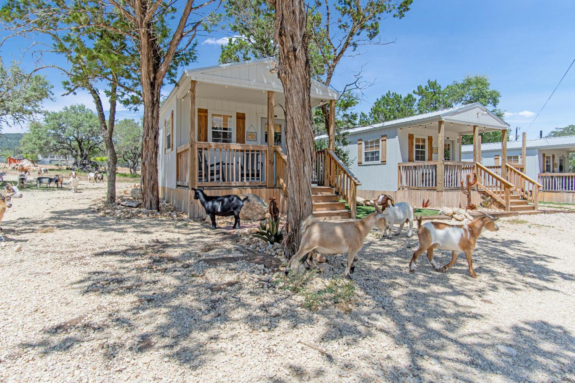 Hotel Lucky Star Ranch - Stargazer Tarpley Exterior foto