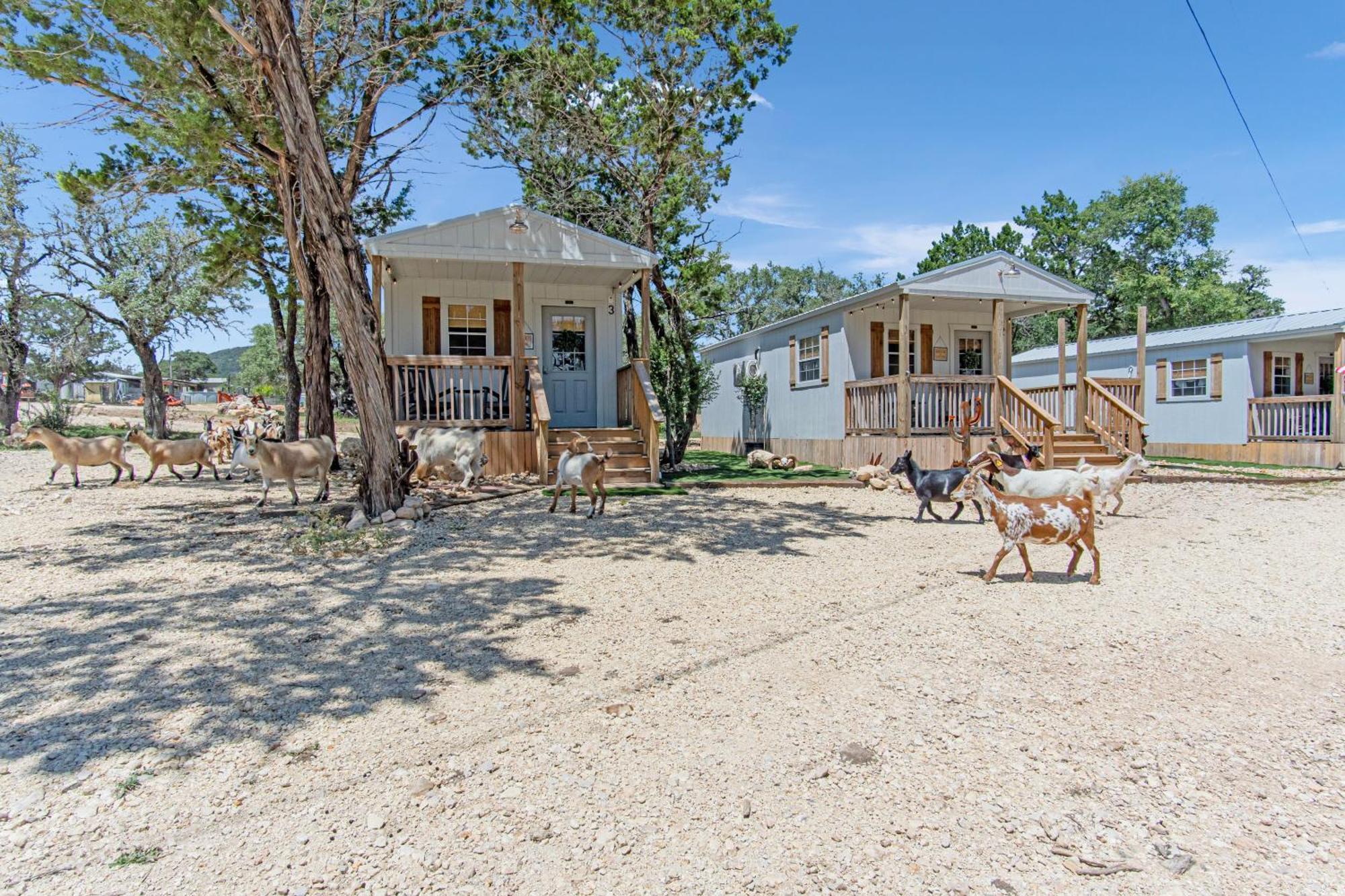 Hotel Lucky Star Ranch - Stargazer Tarpley Exterior foto